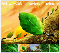 Galeria fotografii z ciekawymi efektami